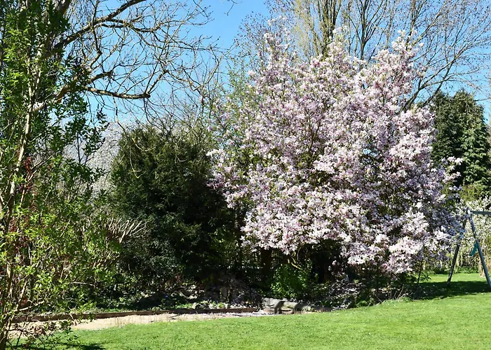 Au Four Et Au Jardin